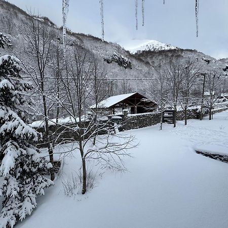 콜라신 Biocinovici Vikendica 빌라 외부 사진